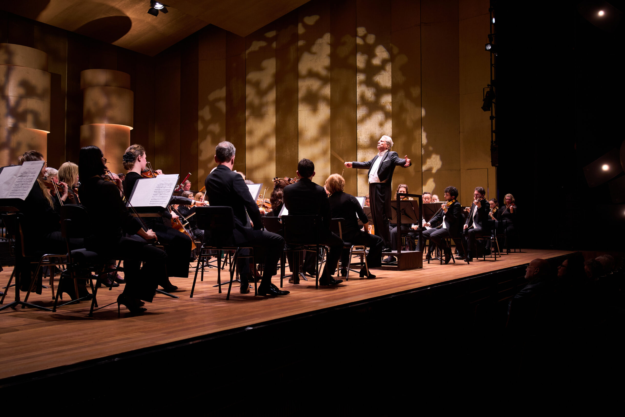 Concert performance